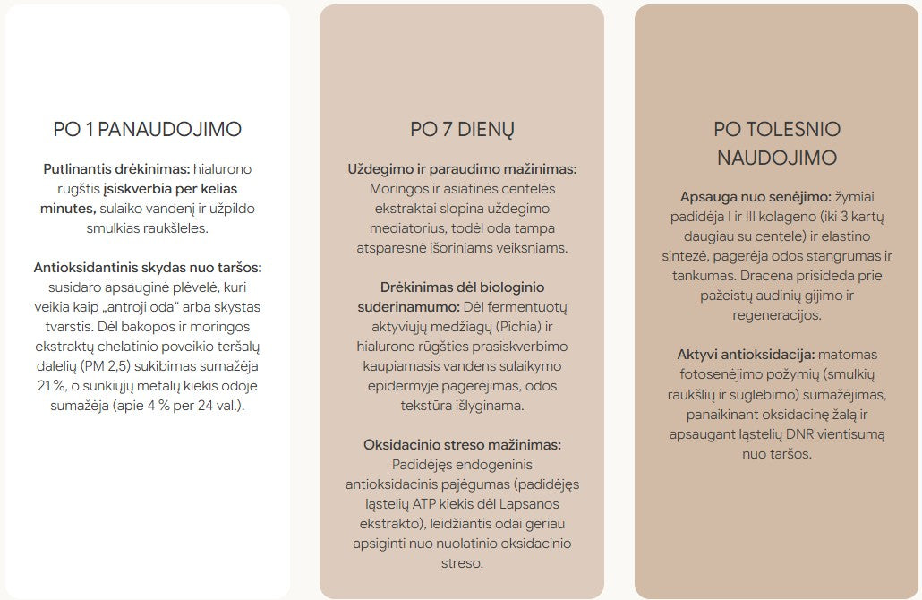 DHYVANA "Antiox Protect" Antioksidacinis serumas, 7x2 ml